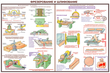 ПС09 Безопасность труда при деревообработке (пластик, А2, 5 листов) - Плакаты - Безопасность труда - Магазин охраны труда Протекторшоп